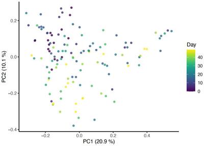 Impacts to canine dermal microbiota associated with repeated bathing